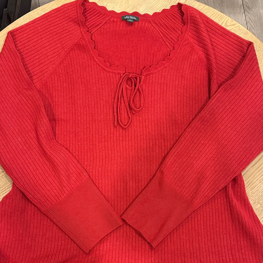 Wild fable Red Ribbed Knit Sweater dress 2X